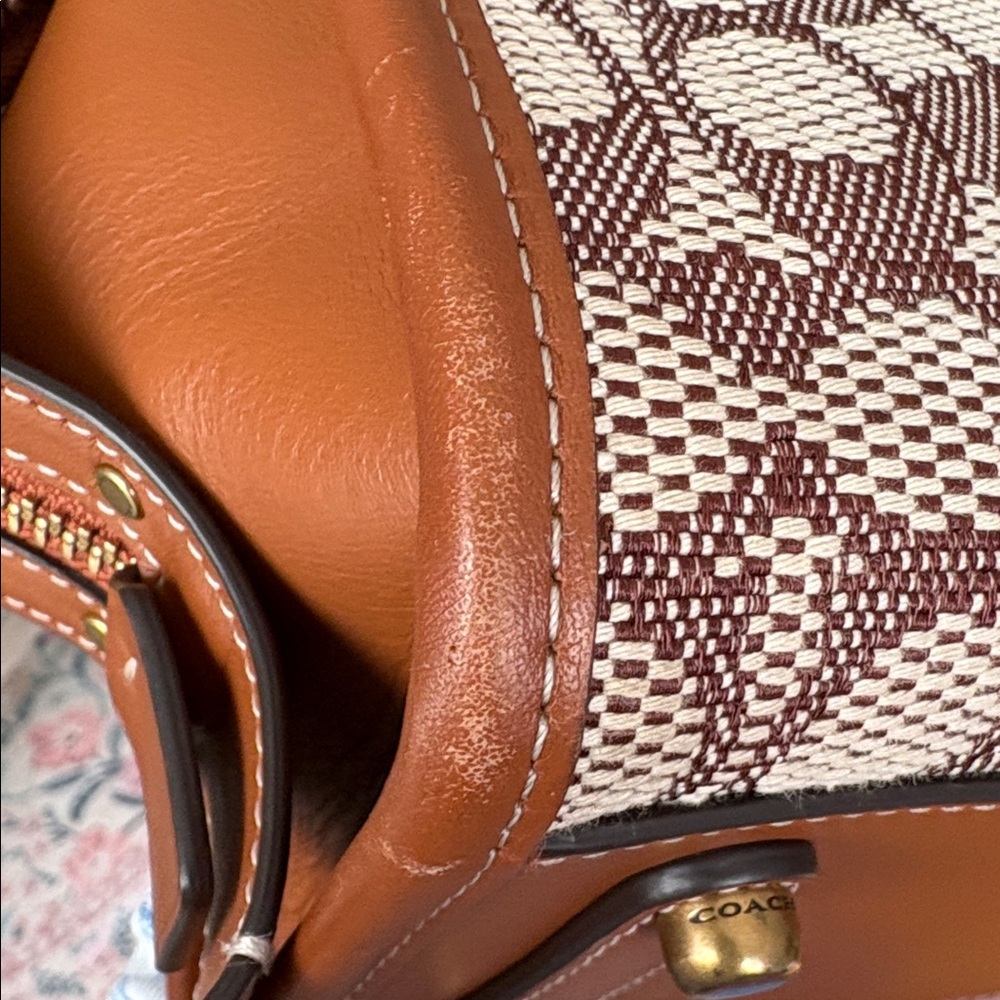 RESERVED - Coach x Tom Wesselman Rogue 25 - Picture 13 of 15